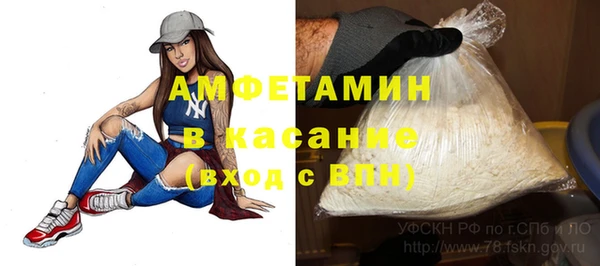 ГАЛЛЮЦИНОГЕННЫЕ ГРИБЫ Дмитриев