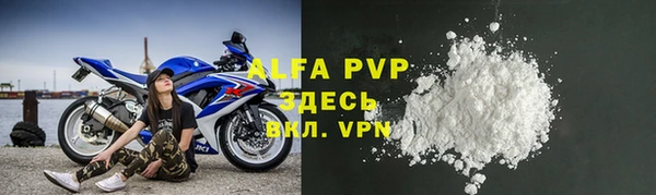 ГАЛЛЮЦИНОГЕННЫЕ ГРИБЫ Дмитриев