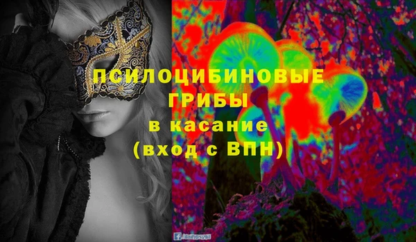 каннабис Дмитров