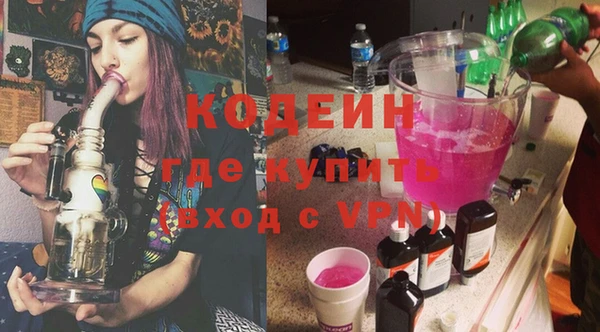 ГАЛЛЮЦИНОГЕННЫЕ ГРИБЫ Дмитриев