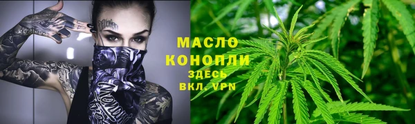 дмт Гусев