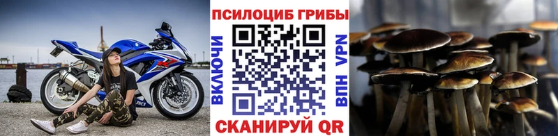 Псилоцибиновые грибы Cubensis  Борисоглебск 